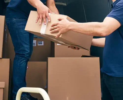 distribution